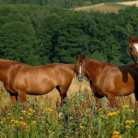 Farma Vysoka 3* Chrastava