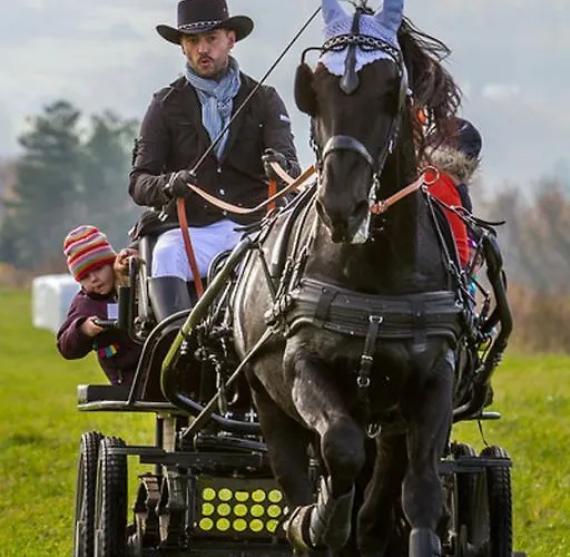 Farma Vysoka Hotell 3*