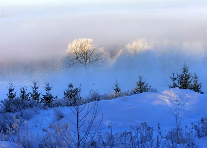 Hotell Farma Vysoka Chrastava